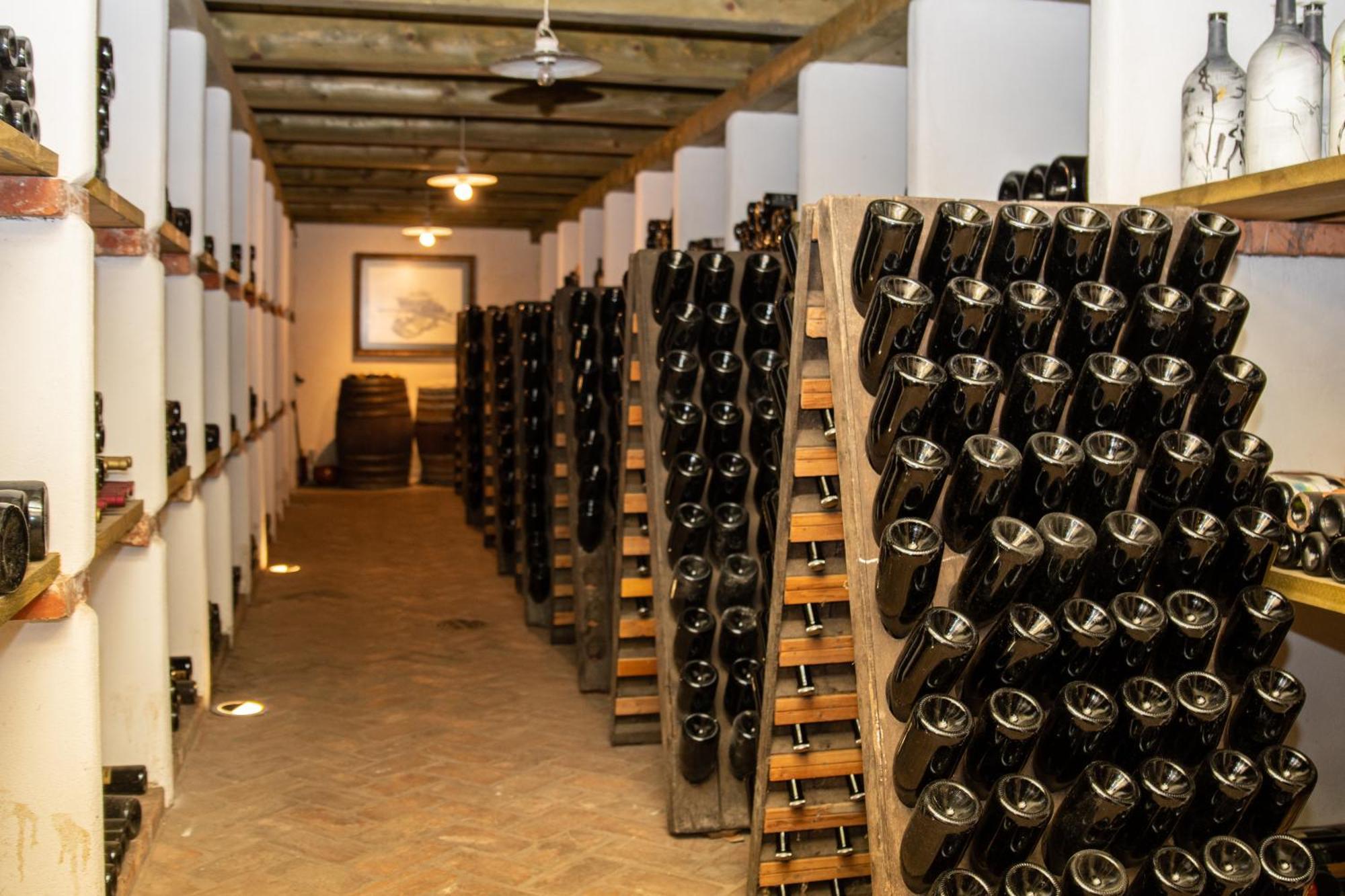 Bed and Breakfast Posestvo Scurek Wine Dobrovo Exterior foto