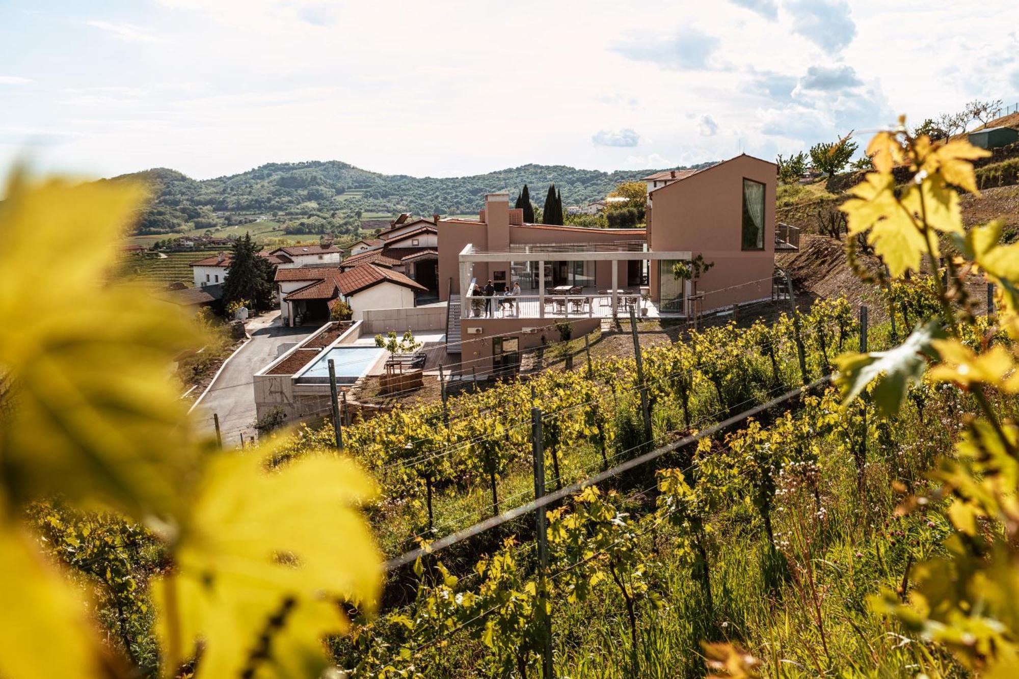 Bed and Breakfast Posestvo Scurek Wine Dobrovo Exterior foto